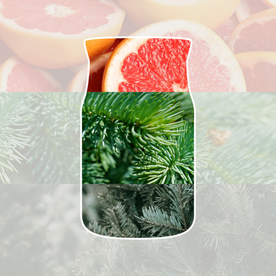 WHITE SPRUCE & GRAPEFRUIT